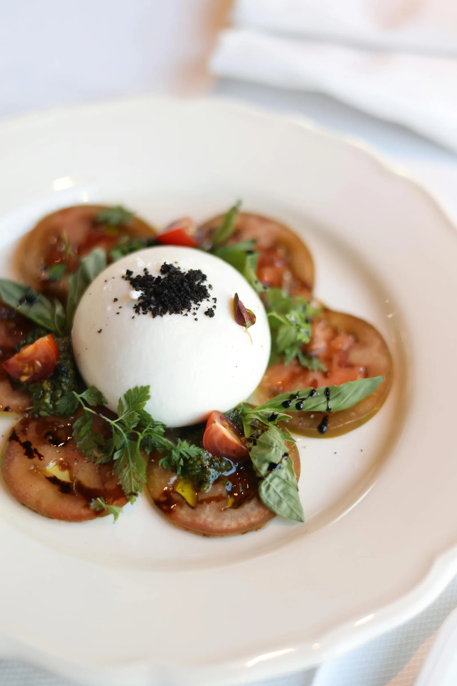 Burrata fraîche sur lit de tomates et basilic